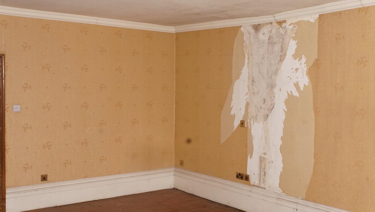 Damaged plaster in the Judge Melish Maidstone Suite before restoration
