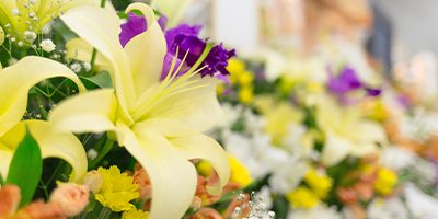 A selection of flowers